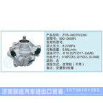 ZYB-0807R-2361,990-0656N小車轉(zhuǎn)向泵系列