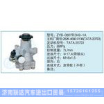ZYB-0807R-349-1A,282646600136(TATA207DI)小車轉(zhuǎn)向泵系列