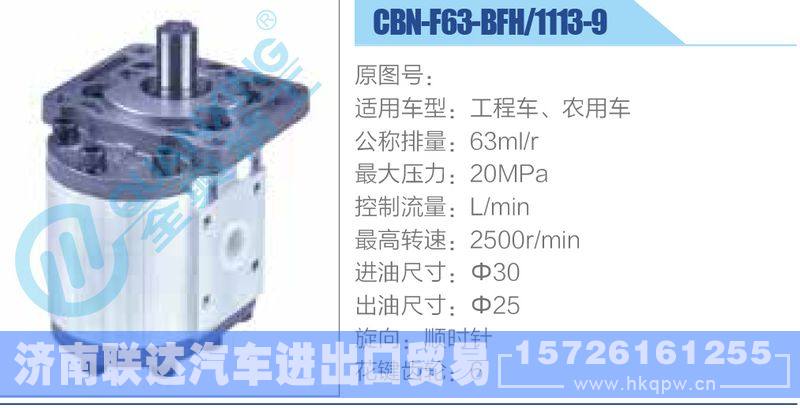 CBN-F63-BFH-1113-9,工程車、農(nóng)用車齒輪泵/CBN-F63-BFH-1113-9,工程車、農(nóng)用車