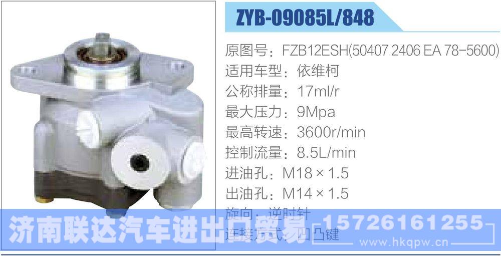 其他系列轉(zhuǎn)向助力泵/FZB12ESH