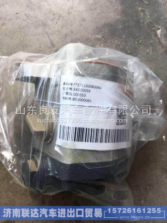 徐工起重机吊车转向齿轮泵转向泵液压泵QC18/13-D14XZ  803000065