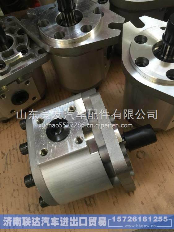 CBNE-F550-BLHL徐工环卫车辆齿轮油泵皖液 CBNE-F550-BLHL