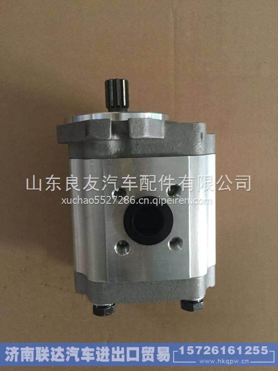 叉车高压齿轮油泵长源液压CBTN-G425压路机工程泵CBTC CBTN-G425