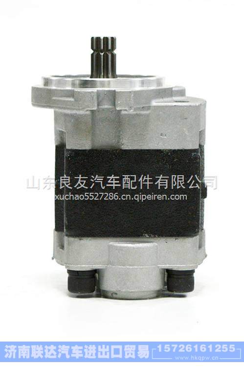  CBHZ-F31.5-ALH6L F32-6L-HC内燃叉车齿轮泵CBHZ-F32-ALH6L  CBHZ-F31.5-ALH6L F32-6L-HC