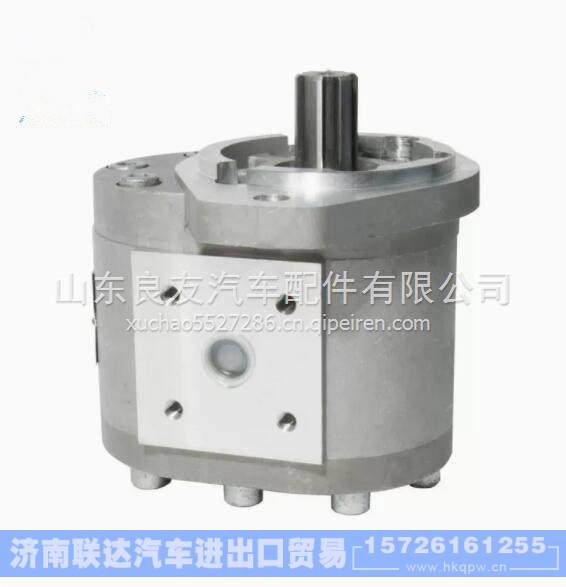 S00014745+01/D52-000-18+A 上柴转向泵 S00014745+01