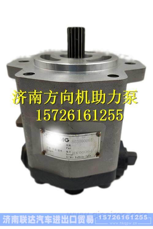 徐工吊车转向泵QC18/13-D14XZ 齿轮泵 803000065 