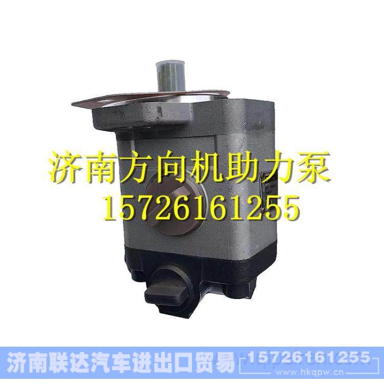 803006891 徐工吊车转向油泵QC18/14-D14XZ 齿轮泵 803006891 