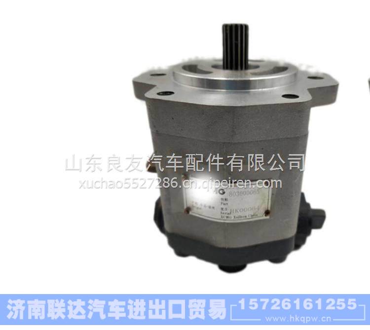803000065徐工吊车转向泵QC18/13-D14XZ 齿轮泵 803000065