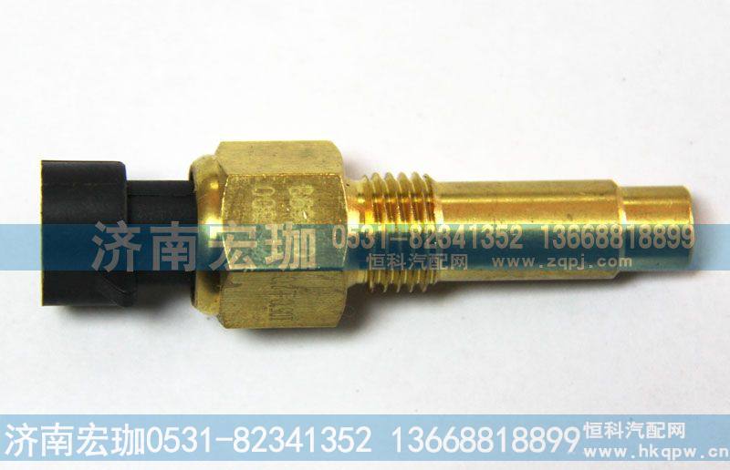 WP10配套水温传感器612600090693