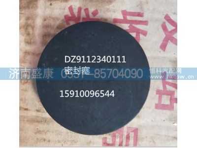 DZ9112340111,密封塞,济南盛康汽车配件有限公司