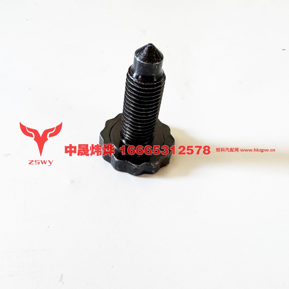 AZ9003890003十二角螺栓短6    4×2.6×2.6 0.05kg