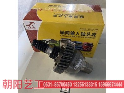 ,425轻量化轴间输入轴总成,济南朝阳艺工重汽配件厂