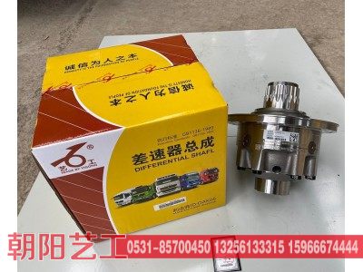 AZ9231320273,差速器总成,济南朝阳艺工重汽配件厂