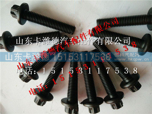 200V90490-0051,重汽曼MC11发动机耐热螺栓,山东卡潍德汽车配件有限公司