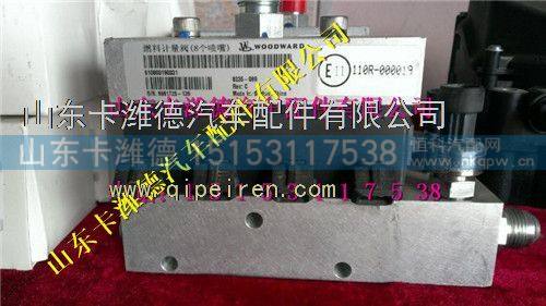 612600190369,潍柴WP12天然气喷射阀,山东卡潍德汽车配件有限公司