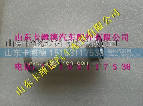 重汽豪沃LNG,天然气发动机高压滤芯,山东卡潍德汽车配件有限公司