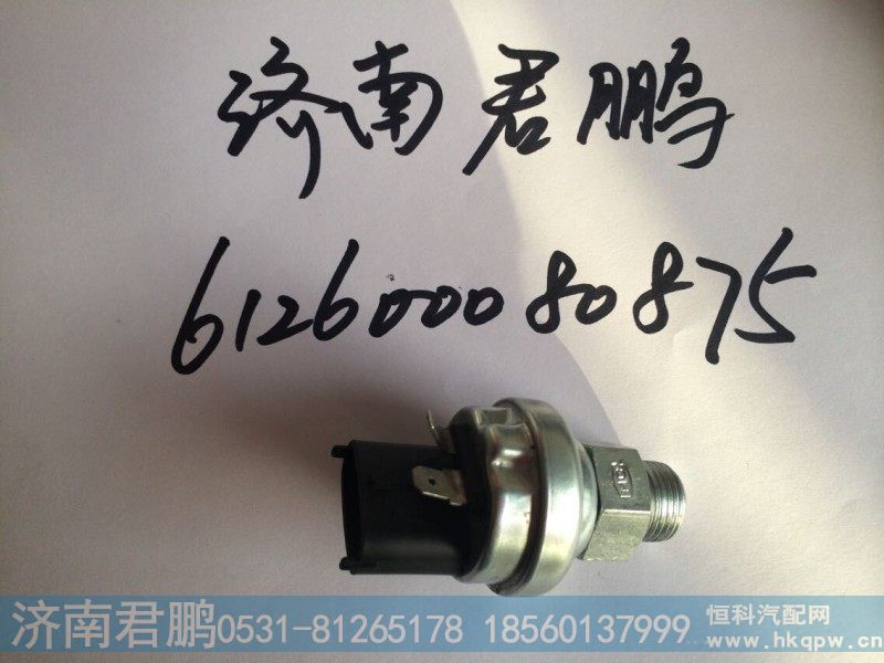 济南君鹏供应压力温度传感器612600080875