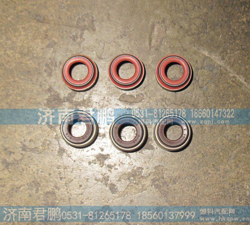 济南君鹏供应曼发动机气门油封202V04902-0033