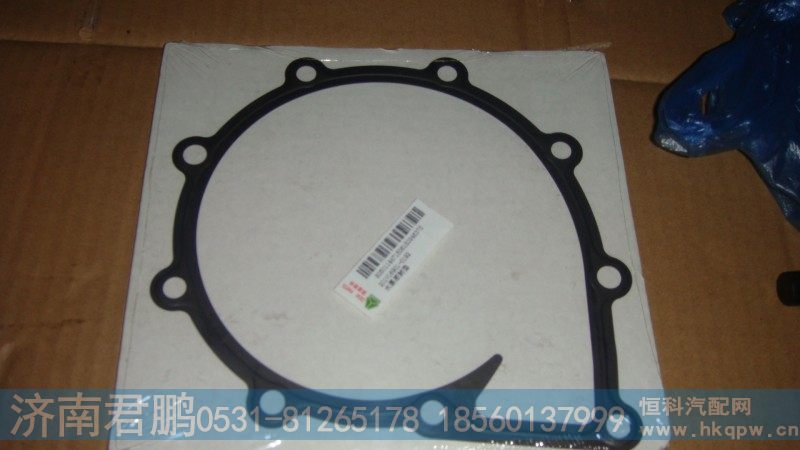 濟南君鵬供應(yīng)曼發(fā)動機水泵密封墊201V06901-0192