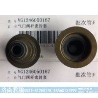 济南君鹏供应气门油封VG1246050167