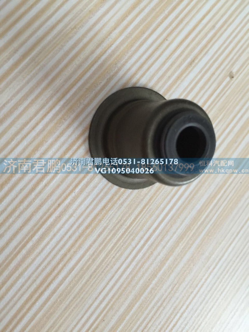 济南君鹏供应气门油封VG1095040026