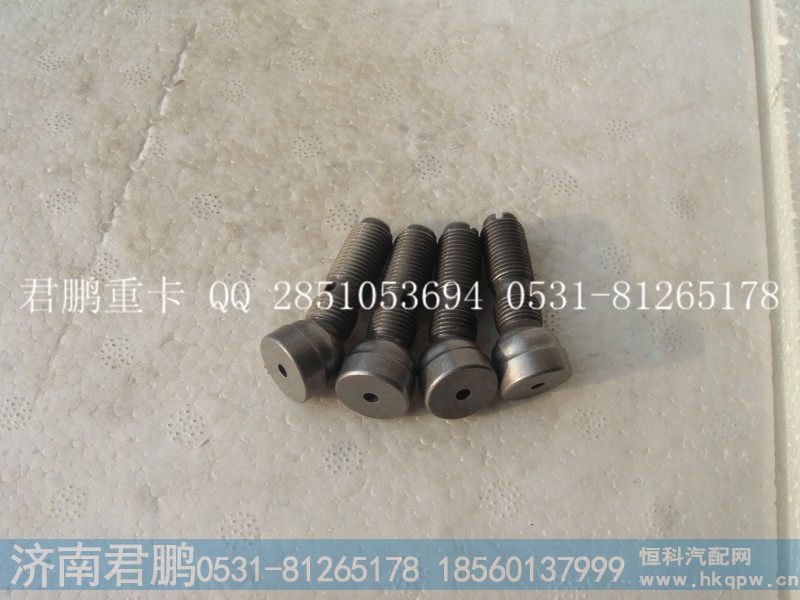济南君鹏供应支撑臂调整螺钉61260050038