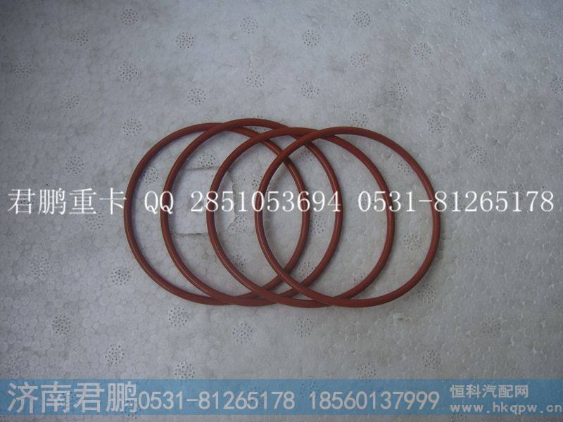 济南君鹏供应O型圈190320002