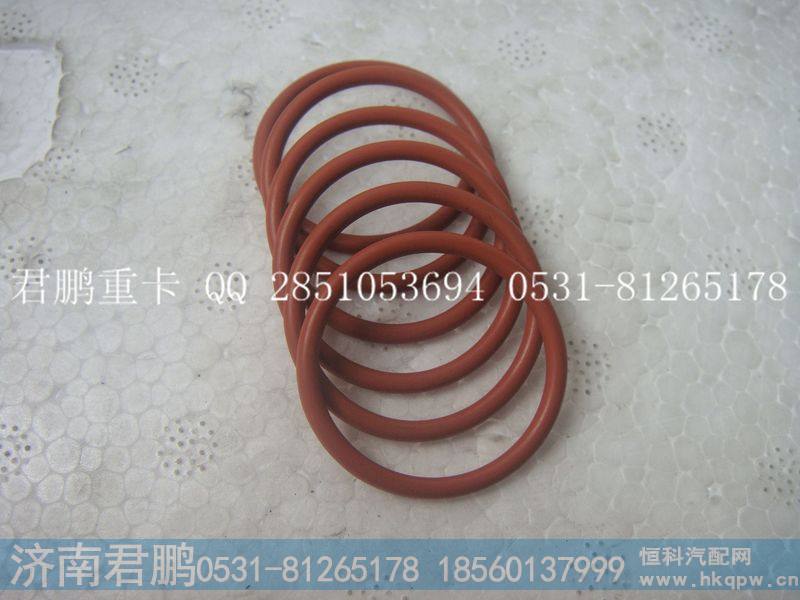 济南君鹏供应O型圈VG1092080005A
