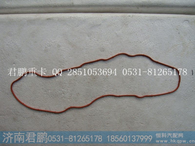 济南君鹏供应摇臂上罩密封圈VG1099040018