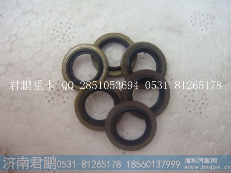 济南君鹏供应复合密封垫圈VG9003080200