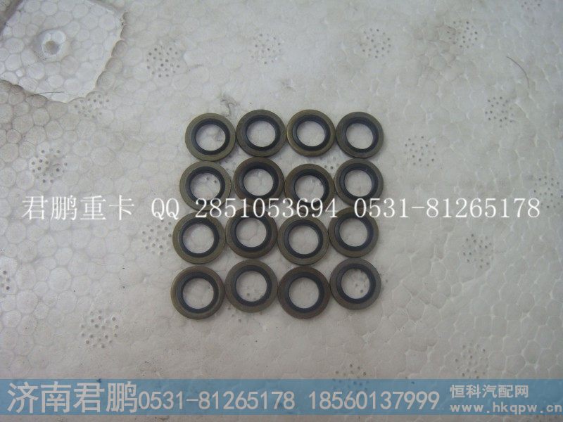 济南君鹏供应复合密封垫圈VG9003080201