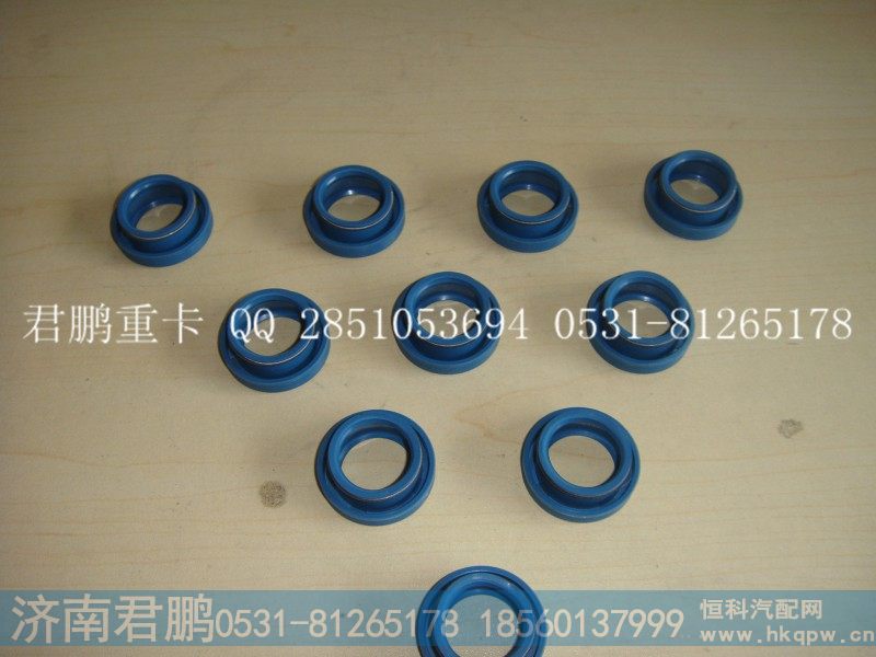 济南君鹏供应VG1099040022骨架油封