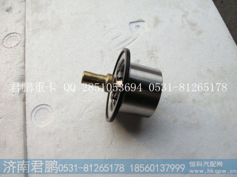 济南君鹏供应节温器芯 VG1560061201