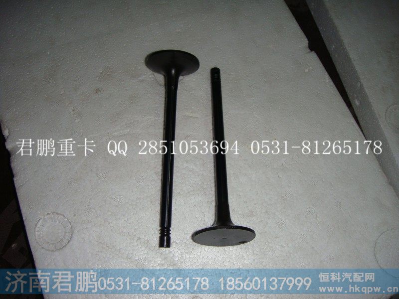 济南君鹏供应进气门，排气门VG1096050015