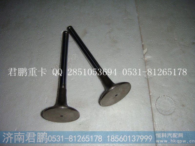 济南君鹏供应进气门，排气门，VG1238050005