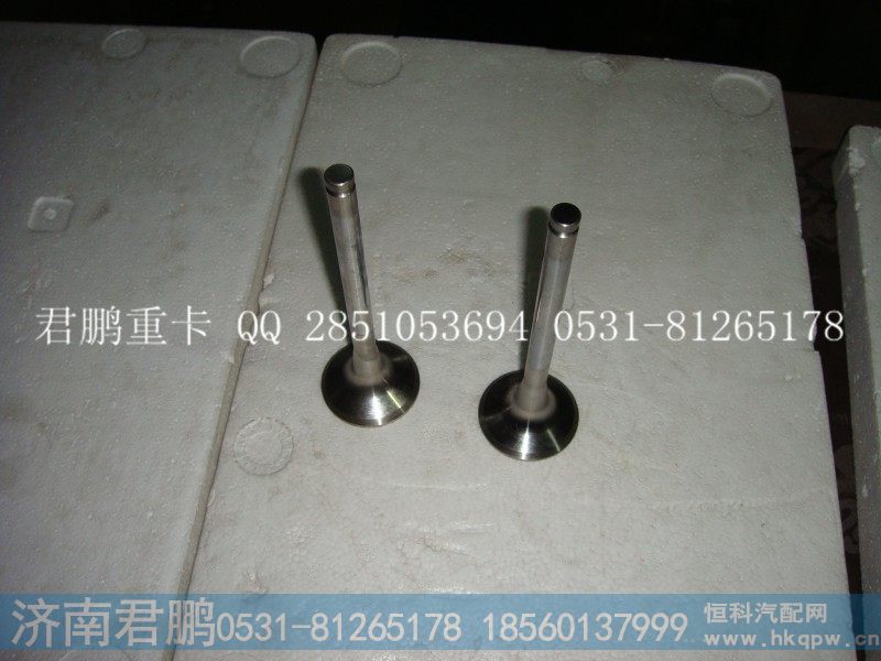 济南君鹏供应进气门，排气门1560050041