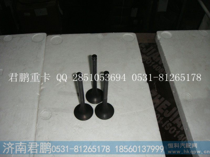 济南君鹏供应进气门，排气门612600050025