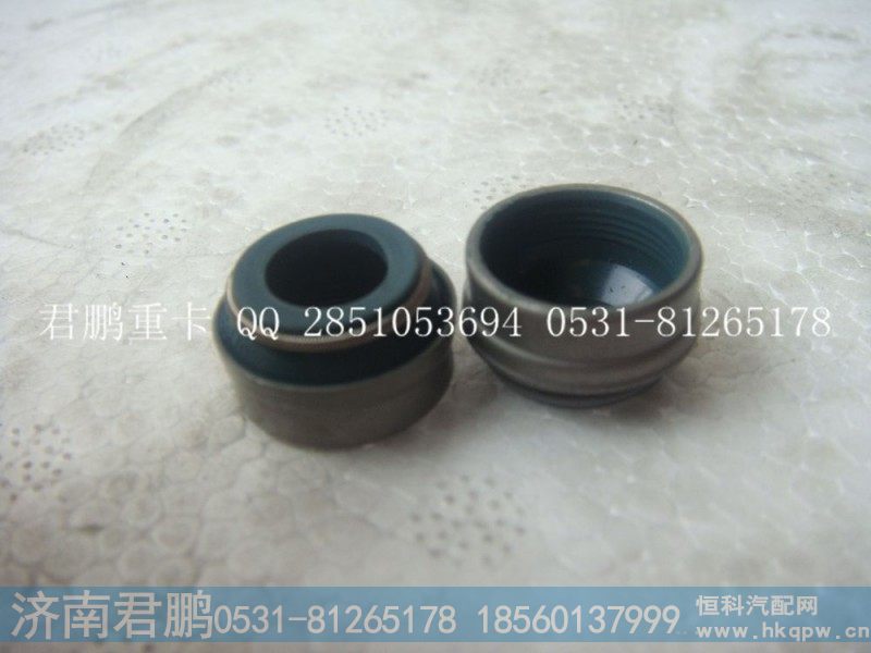 济南君鹏供应气门油封VG2600040114