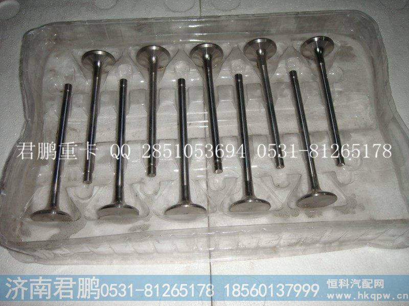济南君鹏供应进气门，排气门VG1540050014