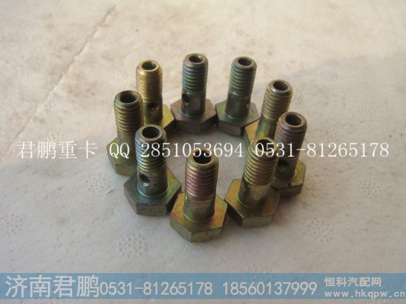济南君鹏供应空心螺栓VG1246080077