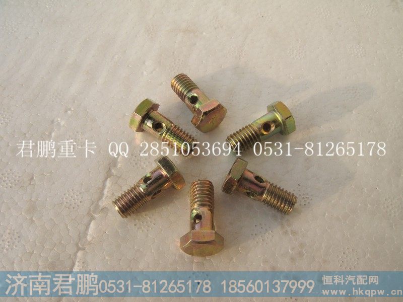 济南君鹏供应空心螺栓VG1540080081