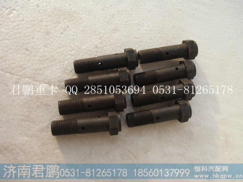 济南君鹏供应空心螺栓VG1560070012