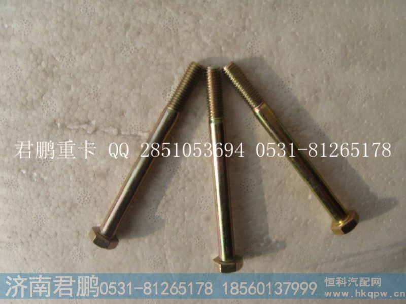 济南君鹏供应六角头螺栓90003800023