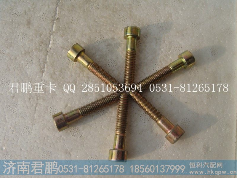 济南君鹏供应内六角圆柱头螺钉90003862443