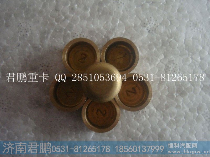济南君鹏供应碗形塞90003989480