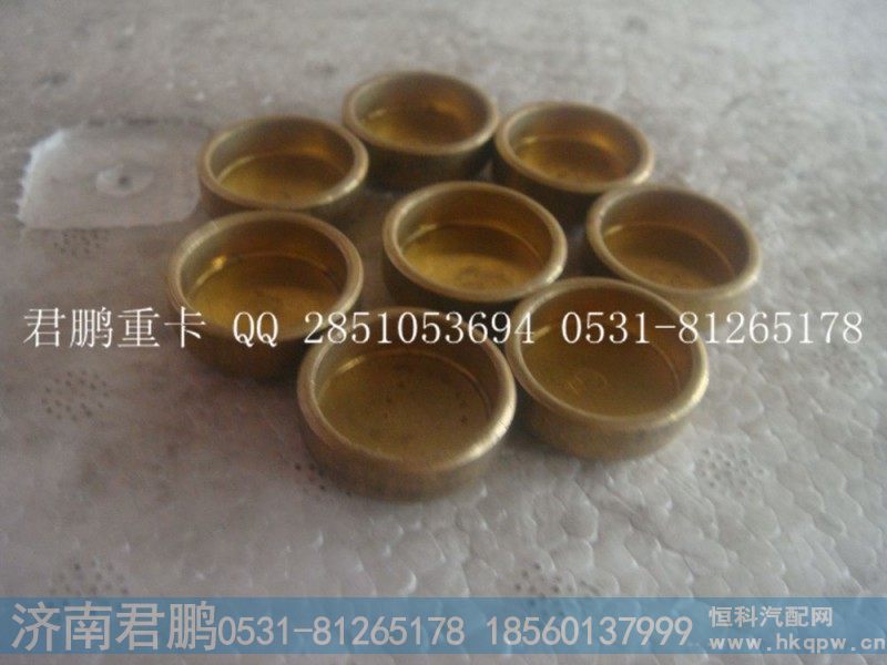 济南君鹏供应碗形塞90003989721