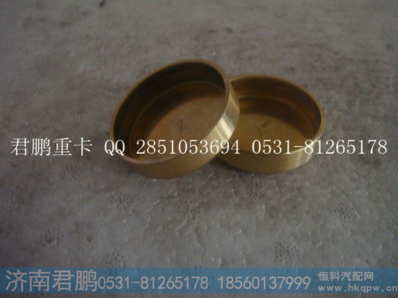济南君鹏供应碗形塞90003989215