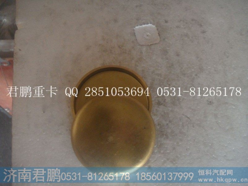 济南君鹏供应碗形塞90003989210