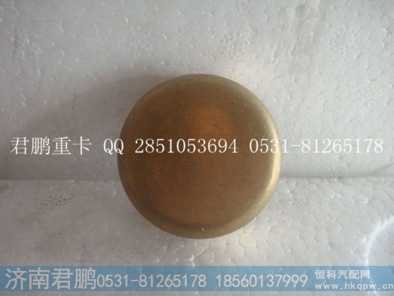济南君鹏供应碗形塞90003989289