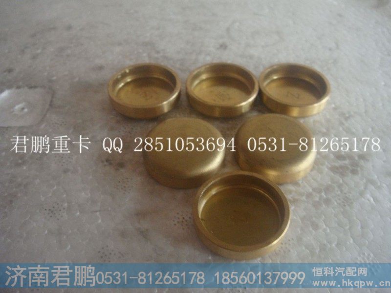 济南君鹏供应碗形塞90003989294   30的